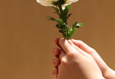 Neočekivane poruke nakon gubitka: Kako se nositi s emotivnim šokom i zaštititi porodicu Neočekivane poruke nakon gubitka: Kako se nositi s emotivnim šokom i zaštititi porodicu