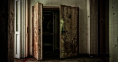 Nevjerovatan trenutak koji je zaustavio kremaciju: priča o životu, intuiciji i snazi nade