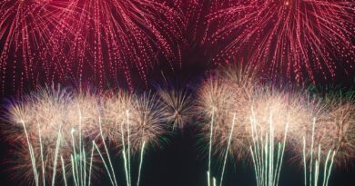 Svijet u 2026. godini: Šest ključnih tačaka koje bi mogle uzdrmati globalni poredak