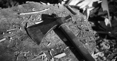 Kako je betonski zid između komšija postao simbol oprosta i novog početka