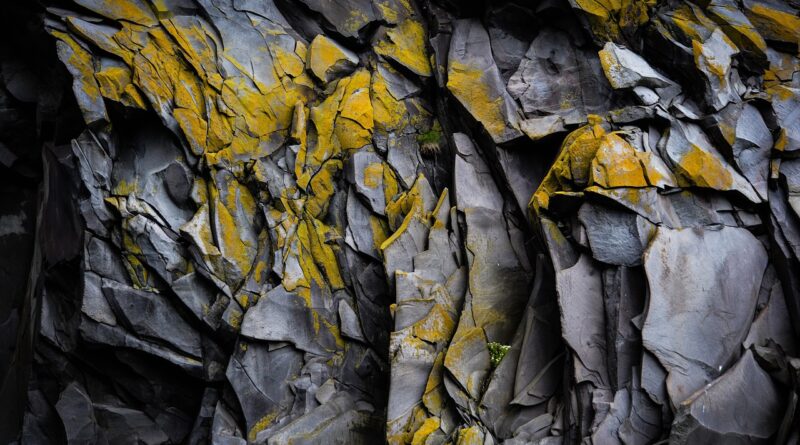 Susret sa strahom: Kako me mali gušter naučio hrabrosti i sažaljenju