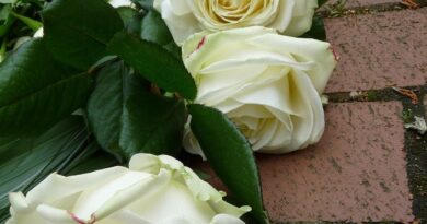 Tajne porodice i bol gubitka: Kako suočiti se s prošlošću i oprostiti