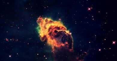 Finansijski prosperitet od 15. januara 2026: Koji horoskopski znakovi mogu očekivati veće prihode