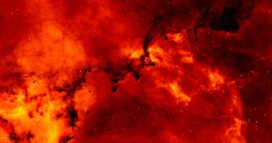 Bog nagrađuje dobrotu: Oslobađanje od briga i najlepši period života za Rakove, Device i Ribe