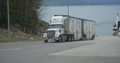 Kamiondžija koji je na Badnji dan pokazao šta zaista znači biti čovek