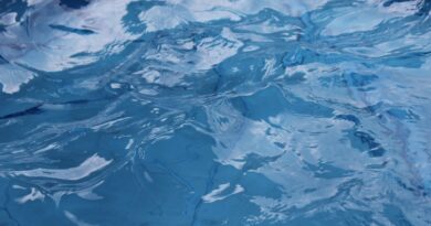 Kada šala pređe granicu: priča o hrabrosti, istini i zaštiti života