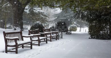 Lekcija o predrasudama: Kako je šesnaestogodišnjak jedne noći pokazao šta znači biti heroj