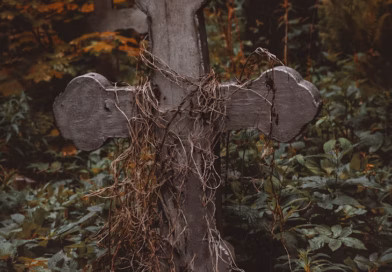 Na sahrani moje ćerke zet mi je rekao da imam 24 sata da se iselim — nije znao šta sam godinama ćutao