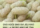 Zaboravljeno voće iz djetinjstva koje ponovo zaslužuje mjesto na trpezi: dud ili murva