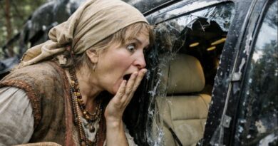 Tajna u magli: Kako je sakupljačica bilja otkrila ostatke nestalog helikoptera