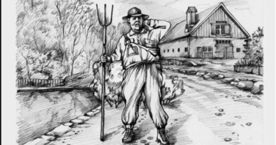 Skrivena figura: Kako optičke iluzije testiraju našu pažnju i percepciju