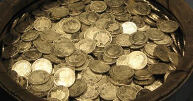 Februar donosi finansijski uspjeh: Vodolije očekuje šleper prilika