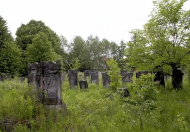 Sumnja u uzrok smrti: Priča o potrazi za istinom i važnosti zvanične istrage