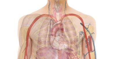 Parkinsonova bolest ne počinje uvijek drhtanjem: Rani znak koji se može javiti godinama prije dijagnoze