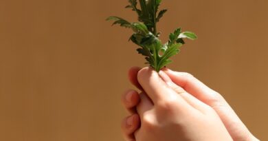 Tragedija u Čačku: četvorogodišnja djevojčica preminula nakon operacije, okolnosti se još ispituju