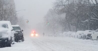 Proročanstvo kod ulaza: Zašto je Marina odlučila ne vratiti se kući