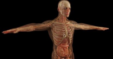 Prirodni recept za zdravlje kostiju i zglobova: kombinacija semenki i meda