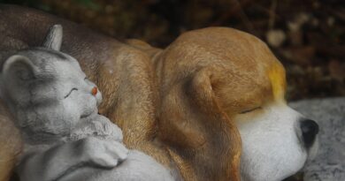 Figura slona u domu: Kako je pravilno postaviti za stabilnost, zaštitu i finansijski napredak