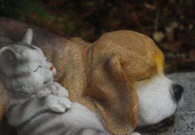 Figura slona u domu: Kako je pravilno postaviti za stabilnost, zaštitu i finansijski napredak