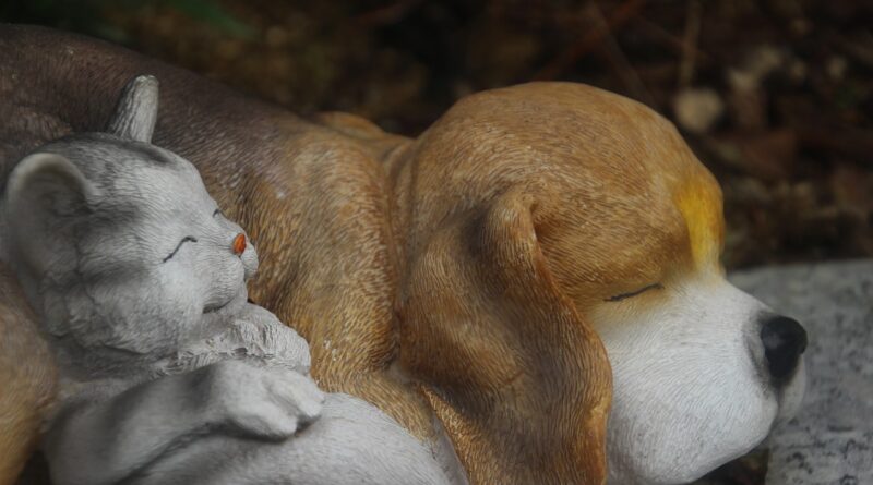 Figura slona u domu: Kako je pravilno postaviti za stabilnost, zaštitu i finansijski napredak