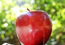 Šta se dešava u tijelu ako svaki dan jedete jabuku