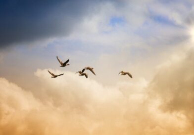 Zašto sanjamo osobe koje su preminule? Psihološka i emotivna objašnjenja snova