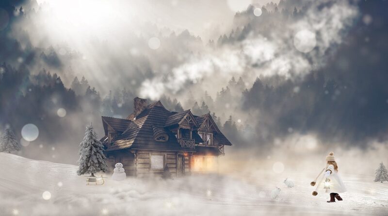 Zima je otkrila mudrost starije žene: Kako su oštri drveni kolci spasili krov od oluje