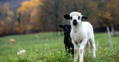 Kada sam izgubila nadu, a pronašla vjeru u ljude