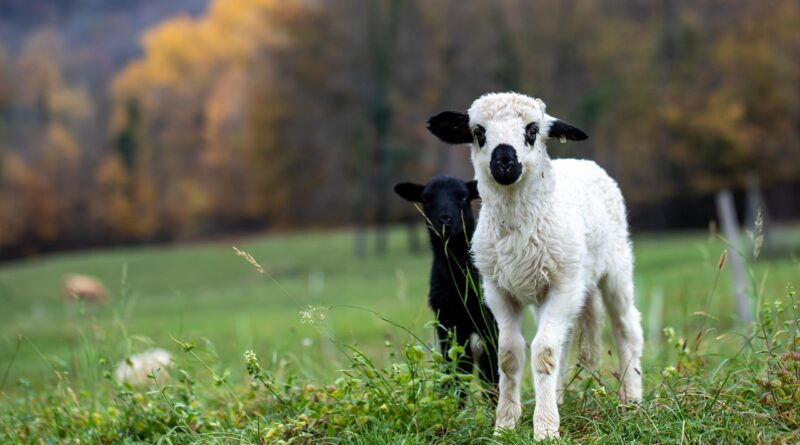 Kada sam izgubila nadu, a pronašla vjeru u ljude