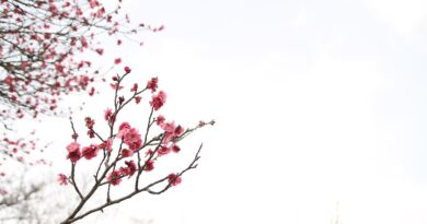 Mart donosi novu energiju: Tri horoskopska znaka kojima se otvaraju vrata uspjeha