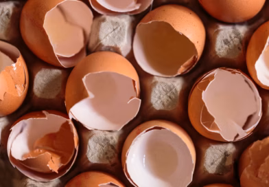 Ne Bacajte Ljuske od Jaja! Obesite ih u Bašti i Pogledajte Šta Se Događa