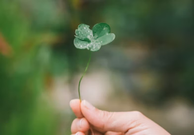 Koji djetelovac primetiš prvi? Tajna tvoje percepcije i intuicije