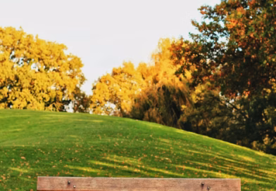 Poziv koji je promenio sve – kako sam otkrila istinu i povratila kontrolu Poziv koji je promenio sve – kako sam otkrila istinu i povratila kontrolu
