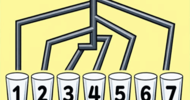 Mozgalica koja vara mozak: Zašto većina ljudi ne vidi pravi odgovor