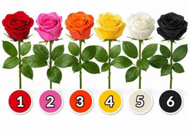 Izaberi ružu i otkrij šta govori o tvojoj ličnosti