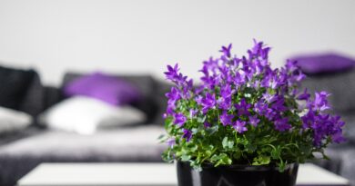 Posljednji dan marta kao prilika za novi početak: riješite se ovih stvari i unesite red, energiju i jasnoću u svoj dom