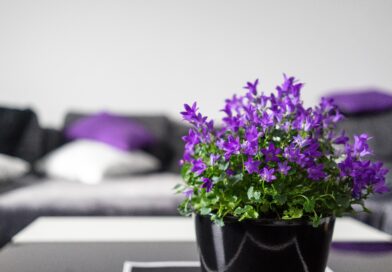 Posljednji dan marta kao prilika za novi početak: riješite se ovih stvari i unesite red, energiju i jasnoću u svoj dom