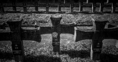 Tajna zakopana u dvorištu: priča o starici, porodičnoj istini i godinama ćutanja