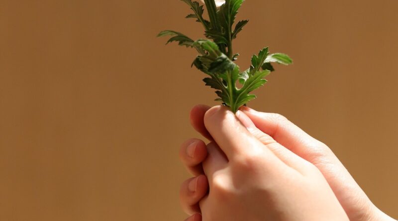 Tragična nesreća kod Šapca: Dragan Lazić izgubio život u 32. godini i iza sebe ostavio porodicu