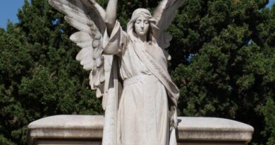 Istina pored groba: Priča o ljubavi, tajnama i snazi da se suočimo s prošlošću Istina pored groba: Priča o ljubavi, tajnama i snazi da se suočimo s prošlošću