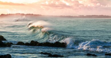 Plutajuća barijera na moru: kako je flota od 1400 brodova stvorila pomorsku liniju dugu 320 kilometara
