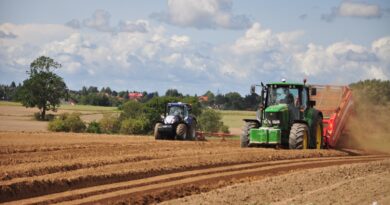 Trideset godina svađe zbog pola metra zemlje: priča o oprostu koji je promijenio sve