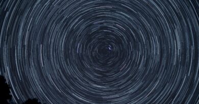 Kraj marta donosi zlatno doba za Ovnove i Rakove: finansijski uspeh i emotivna harmonija