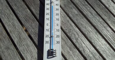 Ekstremne vrućine i svakodnevni život: kako se zaštititi i prilagoditi novim klimatskim uslovima