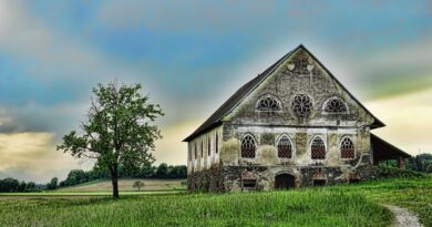 Tišina koja oslobađa: Kako jedna žena transformisala život nakon izdaje i nepravde