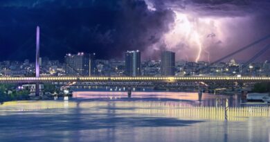 Tragedija na Novom Beogradu: Pitanja bezbednosti nakon nesreće u zoni parka