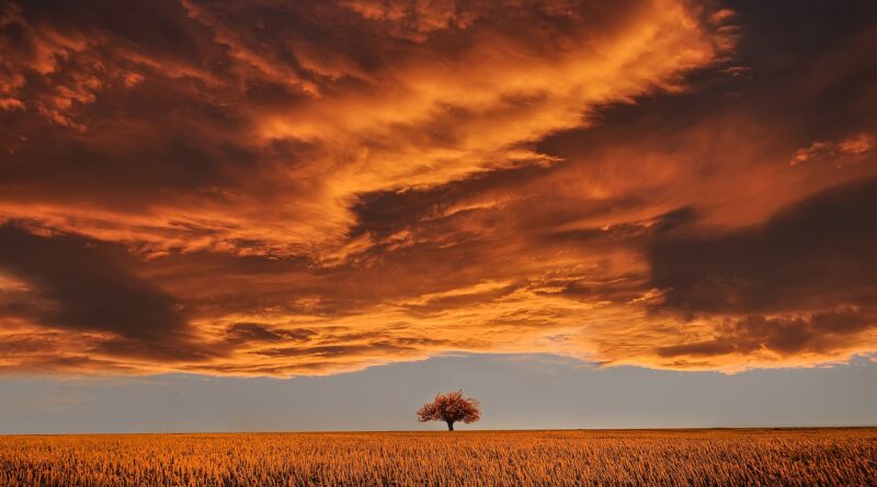 Horoskop za 1. april: Ova tri znaka mogu očekivati finansijski pomak