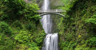 Kad ljubav postane ponor: priča o izdaji, pohlepi i snazi razuma