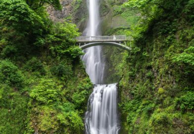 Kad ljubav postane ponor: priča o izdaji, pohlepi i snazi razuma