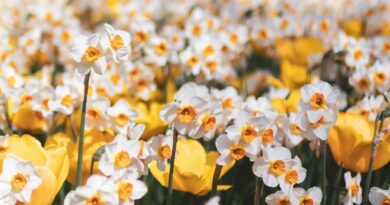 Jedna istina koju narcisi ne podnose: zašto im žena koja “progleda” ruši kontrolu i ego